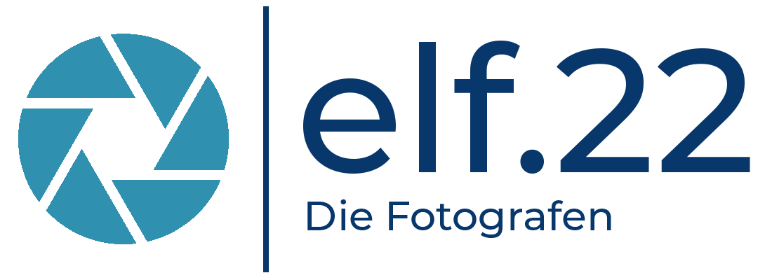 Logo elf.22